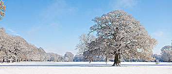 澳洲北区足球：颠沛流离增之较非洲未赢王！