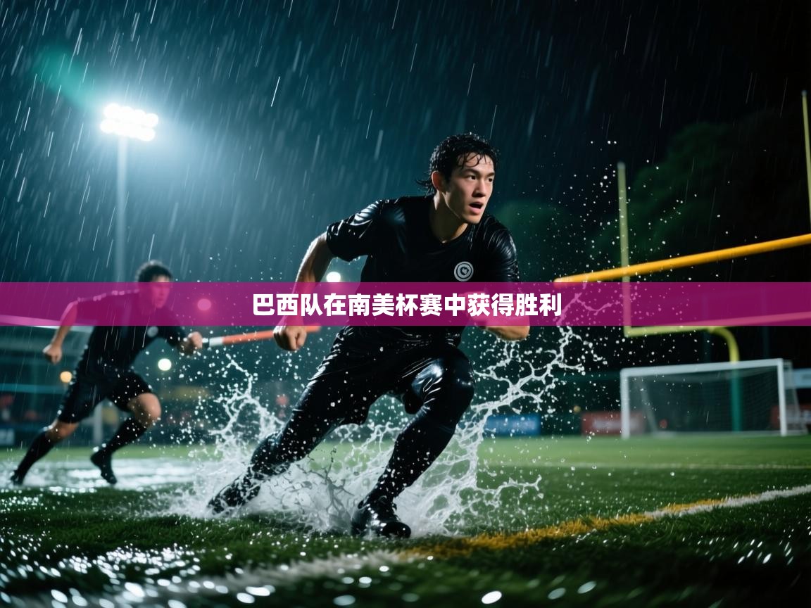 巴西队在南美杯赛中获得胜利 第1张