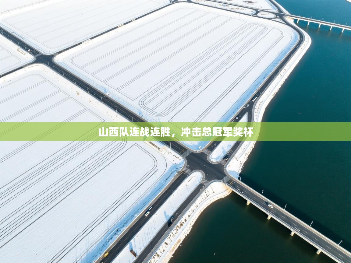 山西队连战连胜，冲击总冠军奖杯